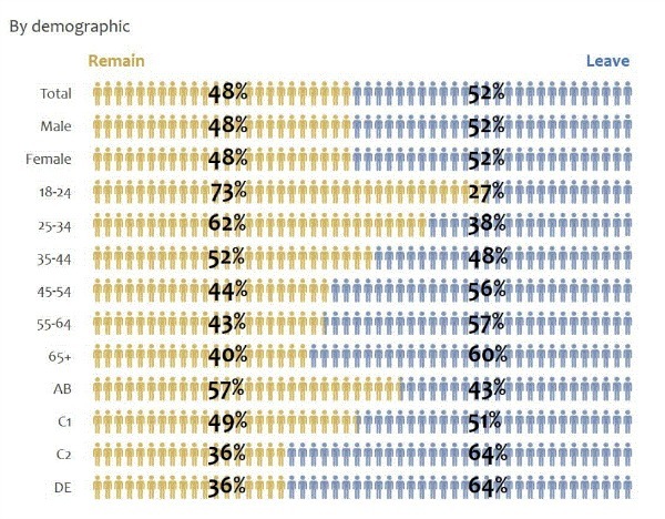 How people in UK voted by demographic