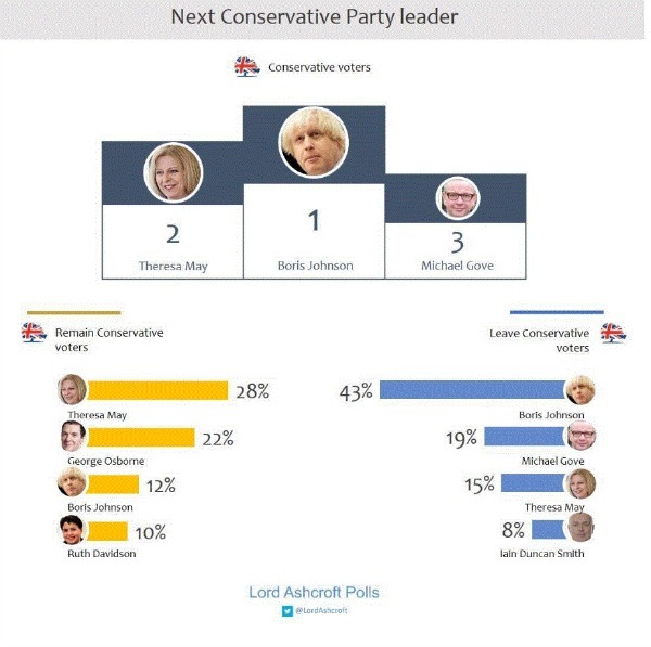 Next conservative party leader by referendum voters