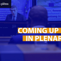 Chysta_se_na_plenu