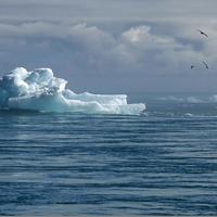 Iceberg-g9295f36e7_1280