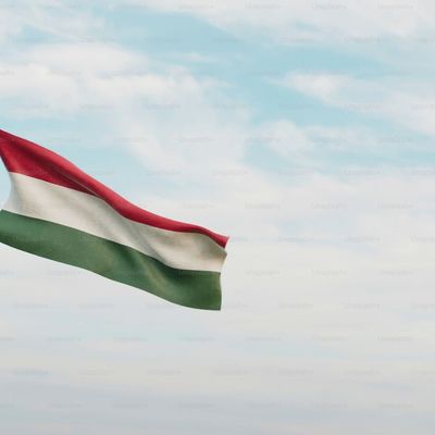 Madarsko-vlajka-obloha.avif